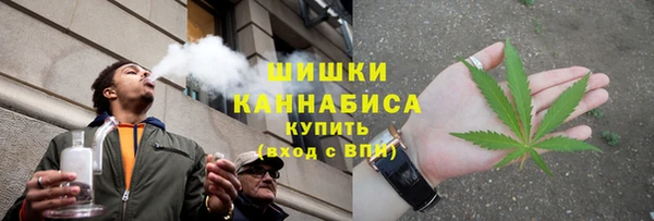 твердый Козловка