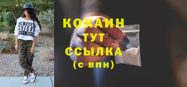 сатива Козельск