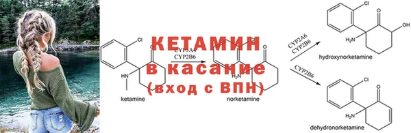 круглые Кодинск