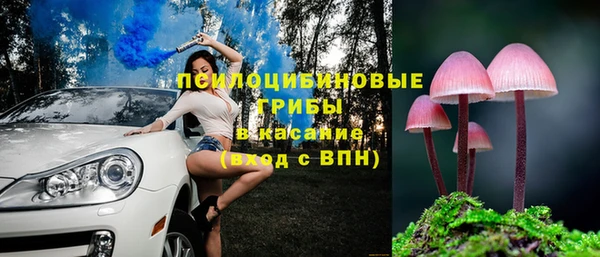твердый Козловка