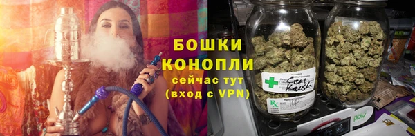 твердый Козловка