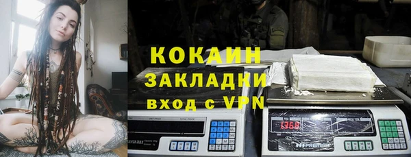 индика Корсаков