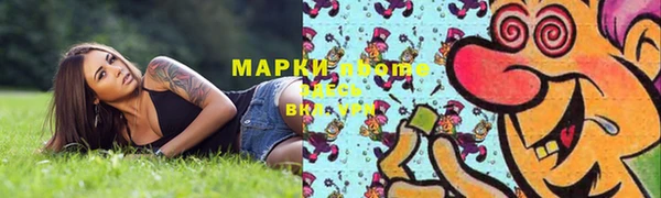 сатива Козельск