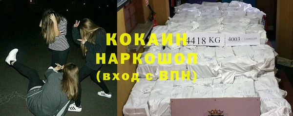 твердый Козловка