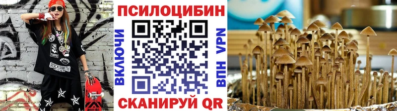 Купить закладки  Бирюч  Псилоцибиновые грибы MAGIC MUSHROOMS 